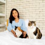 Benefits of Choosing a Professional cats boarding hotel Dubai